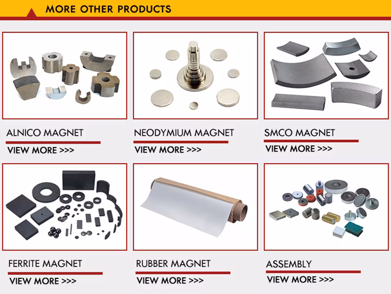 Magnetique Support Magnetism Mixer Customized Shape N52 Neodymium Magnet Strong Magnets