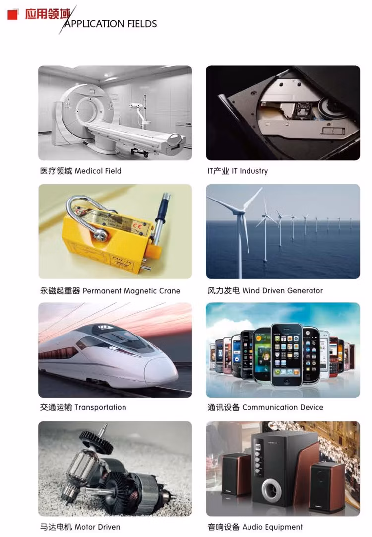 China Factory Golden Supplier Customized Strong Permanent N35 N52 Hard Disk Neodymium Medical Magnets for Sale