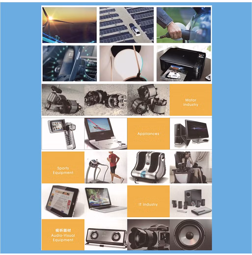 High Performance Custom Shaped Magnetic Material Magnet
