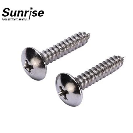 Stainless Steel Large Flat Head Tapping Screw Mushroom Head Cap Screw