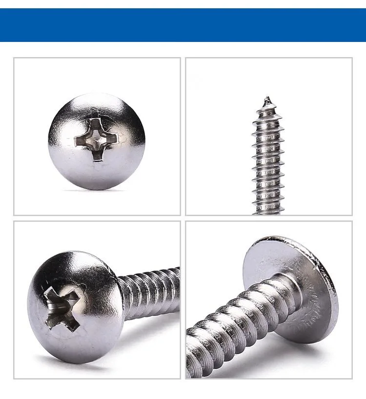 Stainless Steel Large Flat Head Tapping Screw Mushroom Head Cap Screw