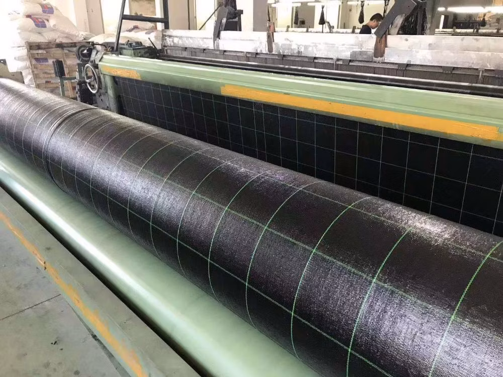 Best Quality Crazy Price Garden Ground Cover Fabric/Weed Barrier Mat/Plastic PP Anti Weed Agro Weed Control Mat