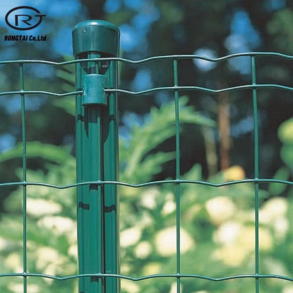 Construction Holland Wire Mesh Fence PVC Coated Fencing Wire Netting
