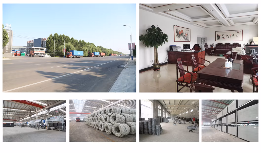 Construction Holland Wire Mesh Fence PVC Coated Fencing Wire Netting
