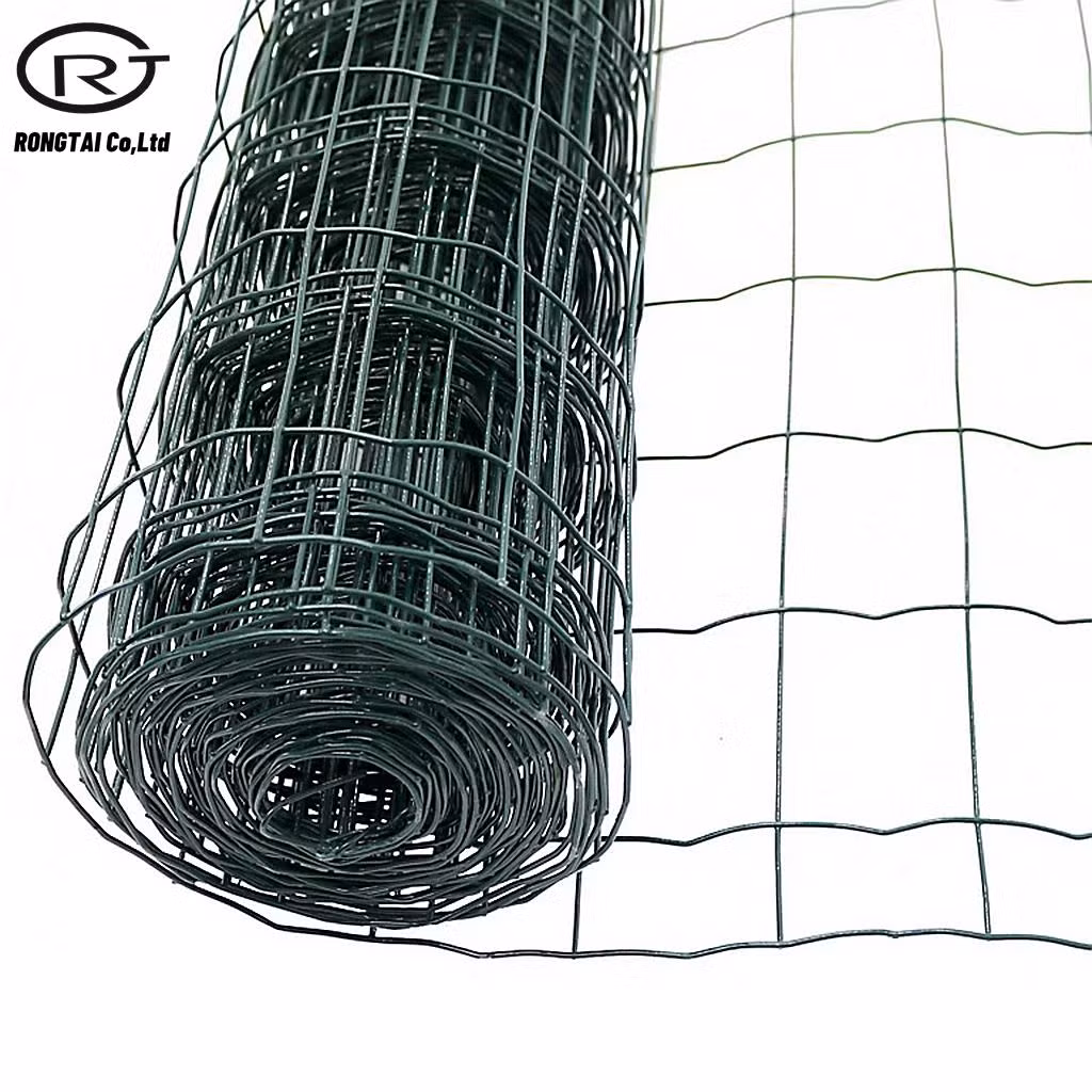 Construction Holland Wire Mesh Fence PVC Coated Fencing Wire Netting
