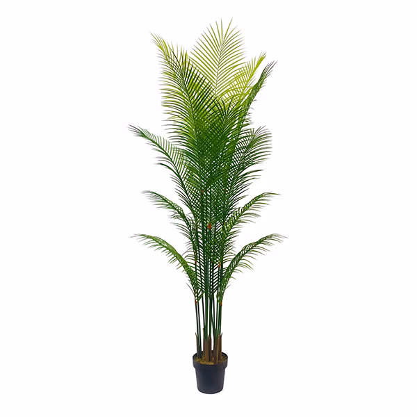 Uland 200cm 220cm Artificial Plants Plam Trees for Indoor Decorative