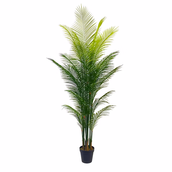 Uland 200cm 220cm Artificial Plants Plam Trees for Indoor Decorative