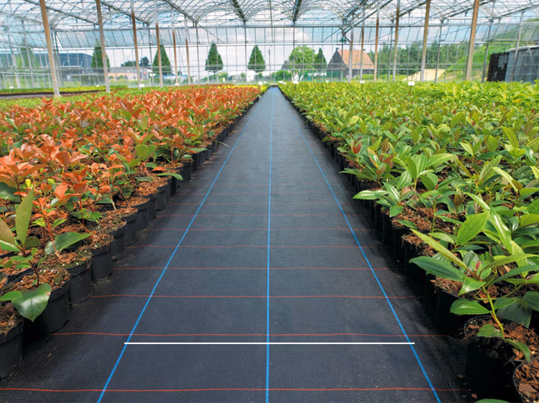 High Quality Weed Control Mat Ground Cover for Blueberry Laying