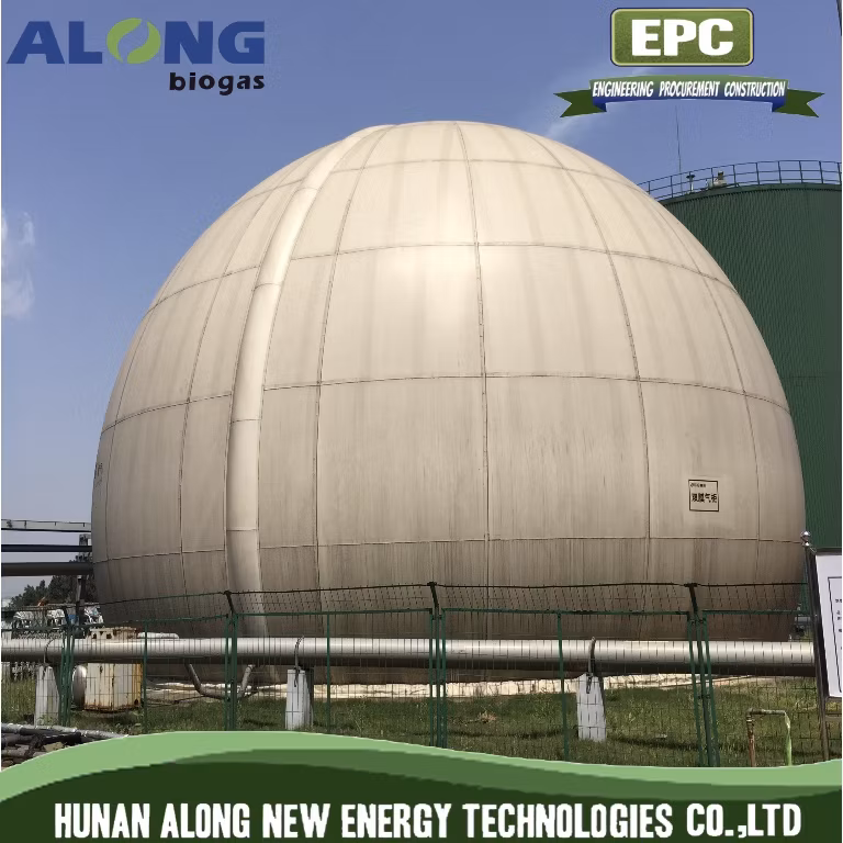 1000m3 Doule Membrane Biogas Holder Storage Tank/Bag Plant