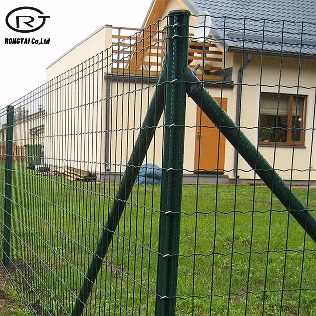 Construction Holland Wire Mesh Fence PVC Coated Fencing Wire Netting
