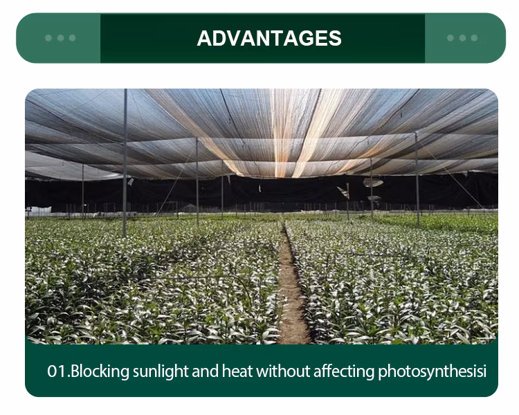 Greenhouse Stabilizer Shade Net