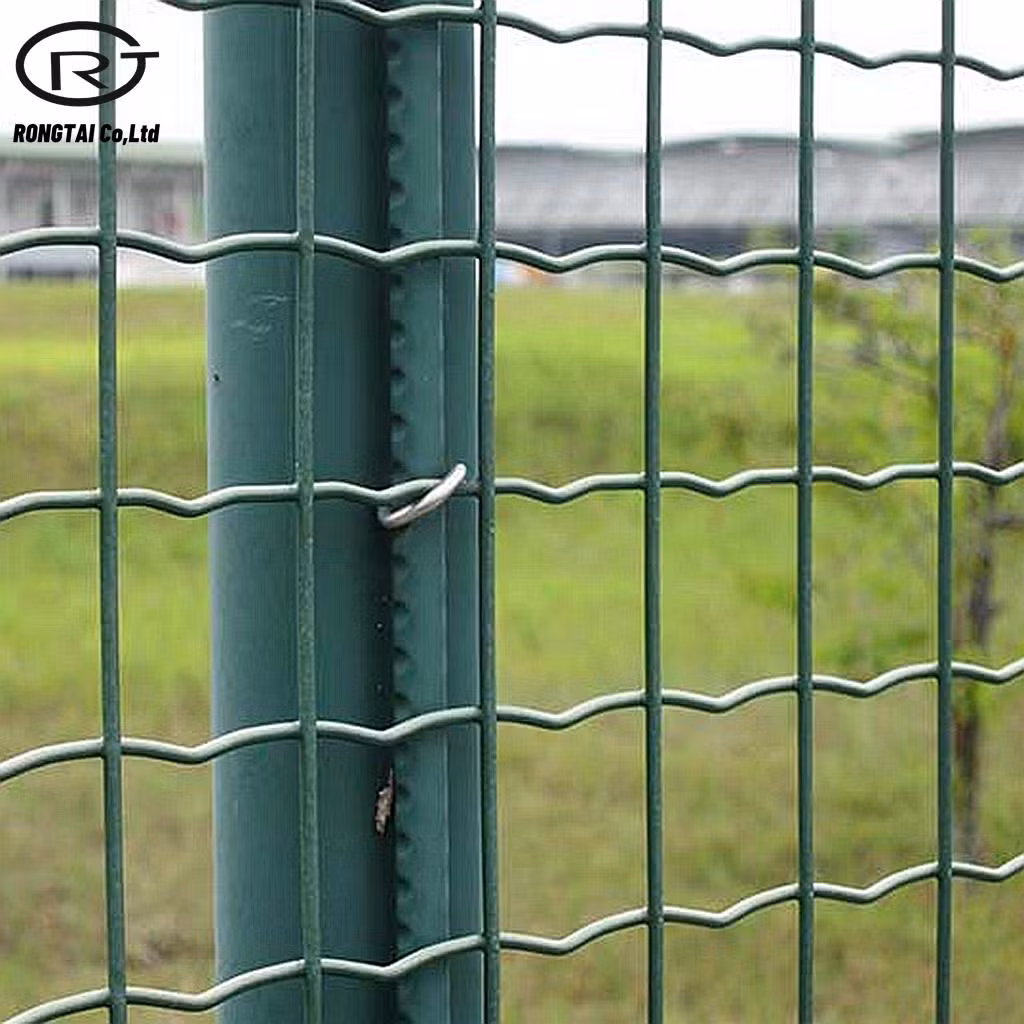 Construction Holland Wire Mesh Fence PVC Coated Fencing Wire Netting