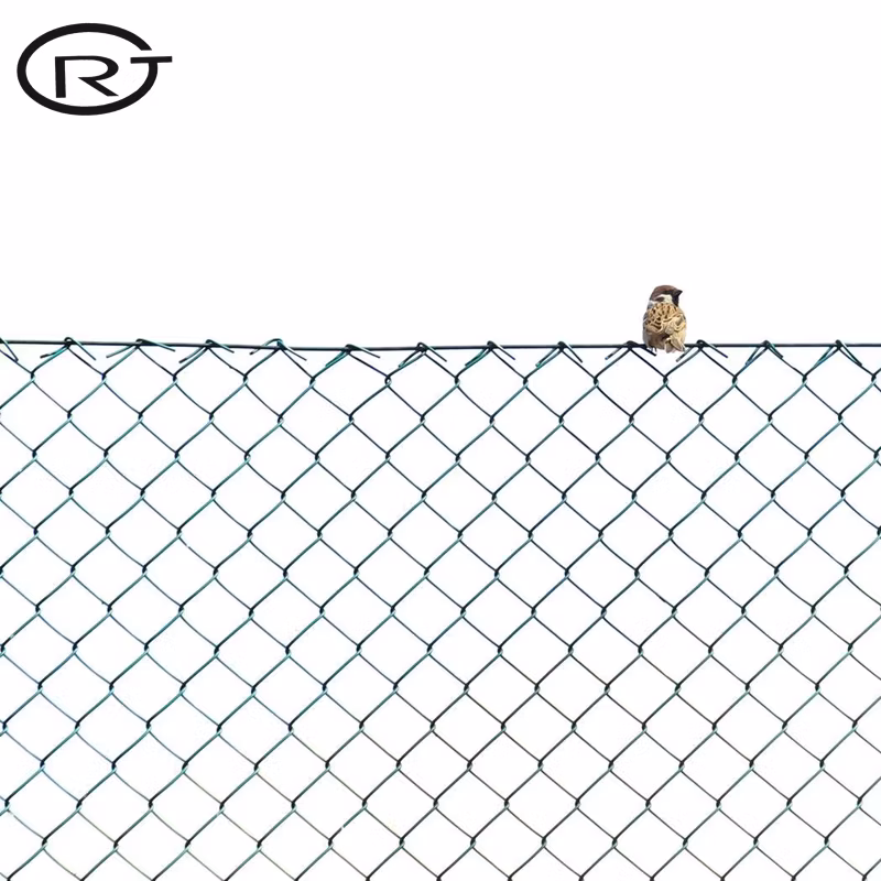 PVC Coated Woven Wire Mesh Fencing Construction Decoration Chain Link Fence