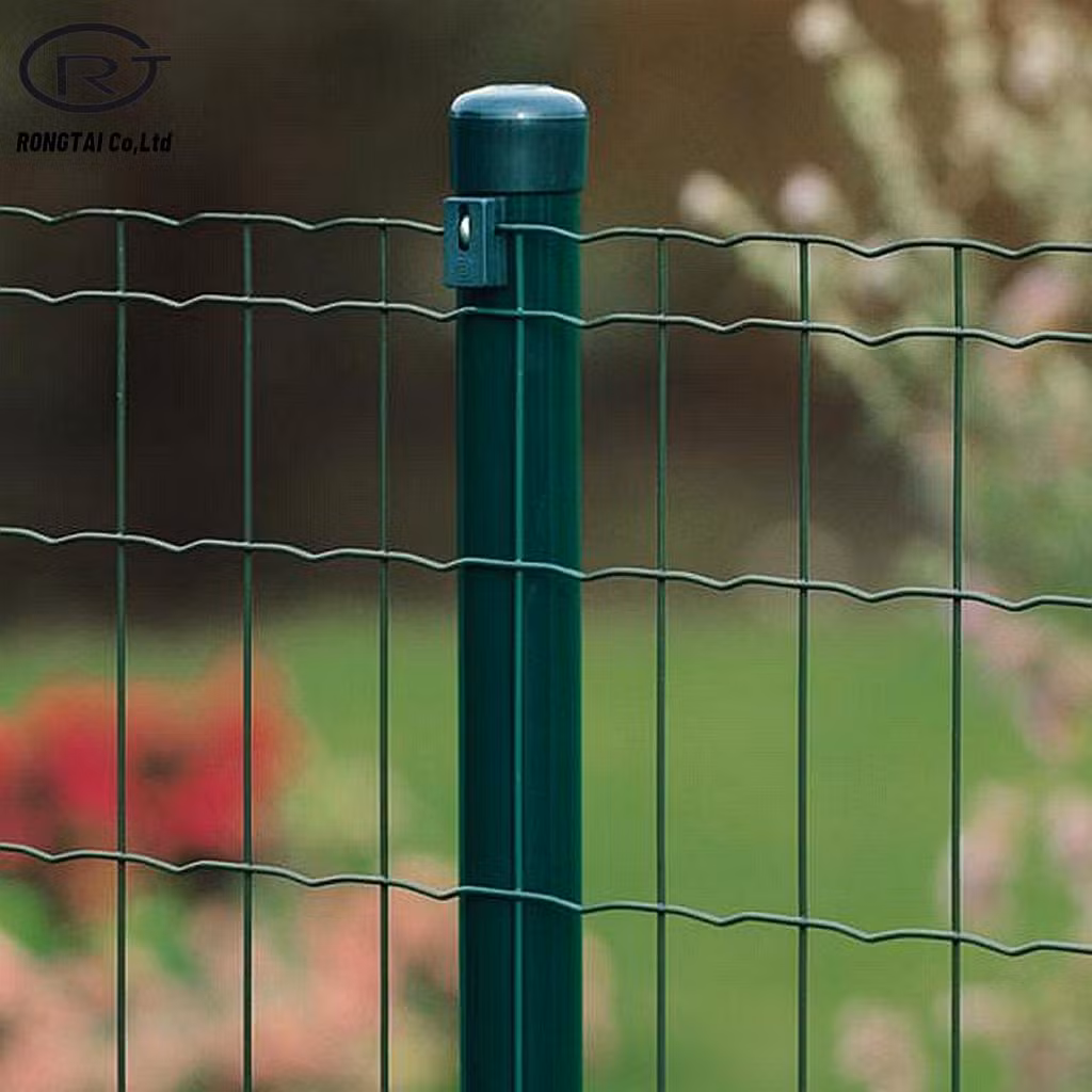 Construction Holland Wire Mesh Fence PVC Coated Fencing Wire Netting
