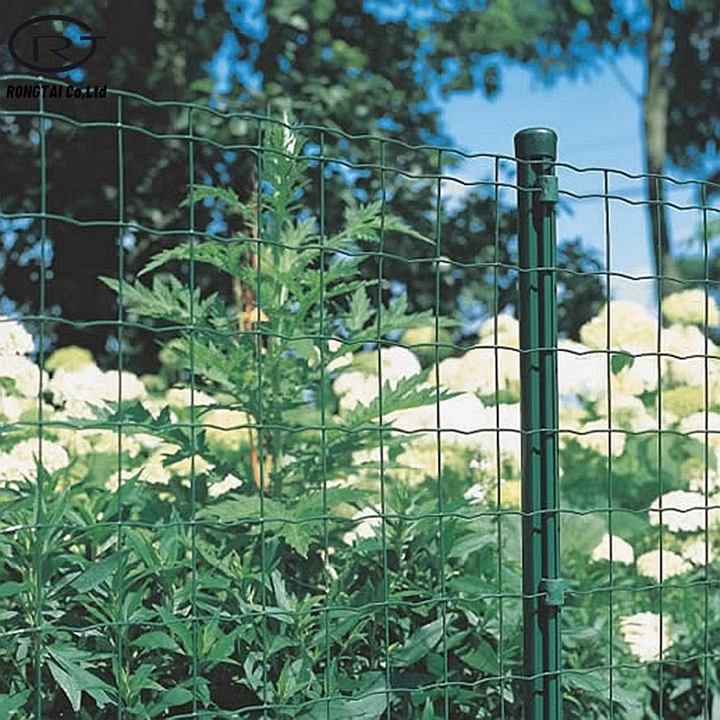 Construction Holland Wire Mesh Fence PVC Coated Fencing Wire Netting