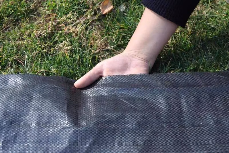 Best Quality Crazy Price Garden Ground Cover Fabric/Weed Barrier Mat/Plastic PP Anti Weed Agro Weed Control Mat