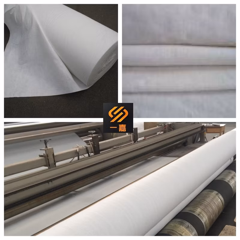 150g 200g 300g Polypropylene PP Staple Fiber Nonwoven Geotextile Fabric/PP Polyester Filament Drainage Geotextile Fabric for Driveway
