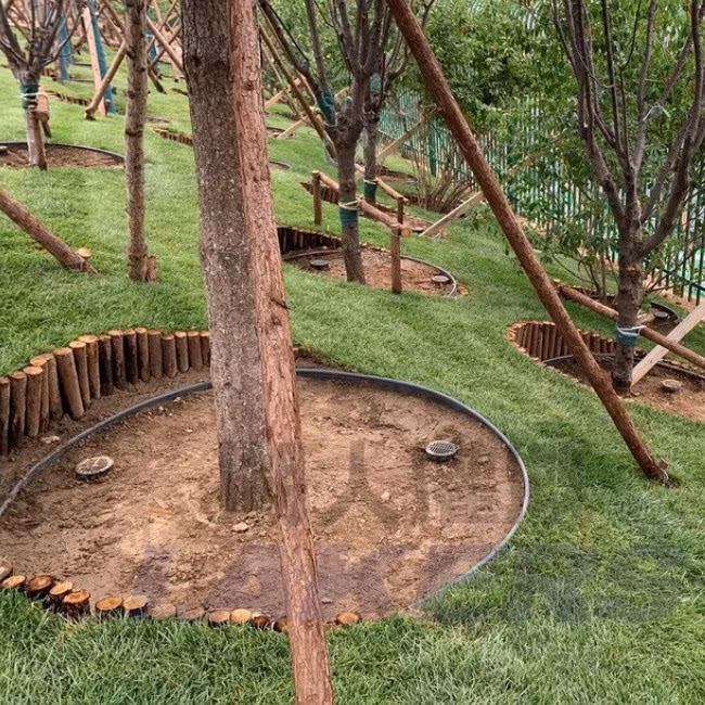 High Quality China Manufacture Plastic Tree Root Irrigator for Irrigation System