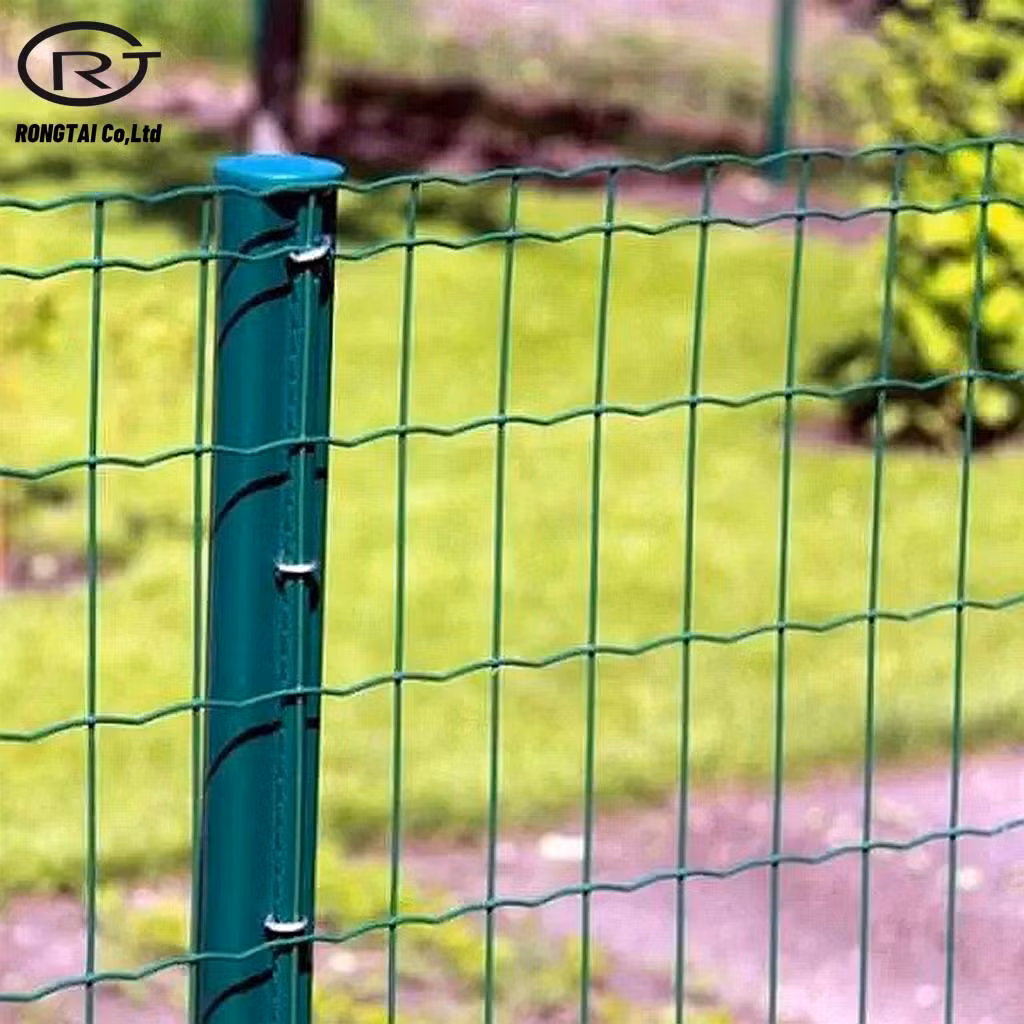 Construction Holland Wire Mesh Fence PVC Coated Fencing Wire Netting
