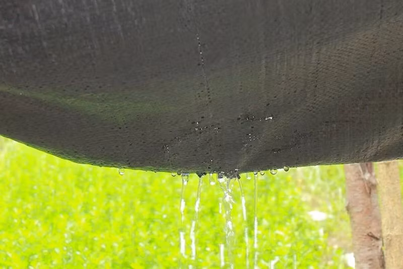 Best Quality Crazy Price Garden Ground Cover Fabric/Weed Barrier Mat/Plastic PP Anti Weed Agro Weed Control Mat