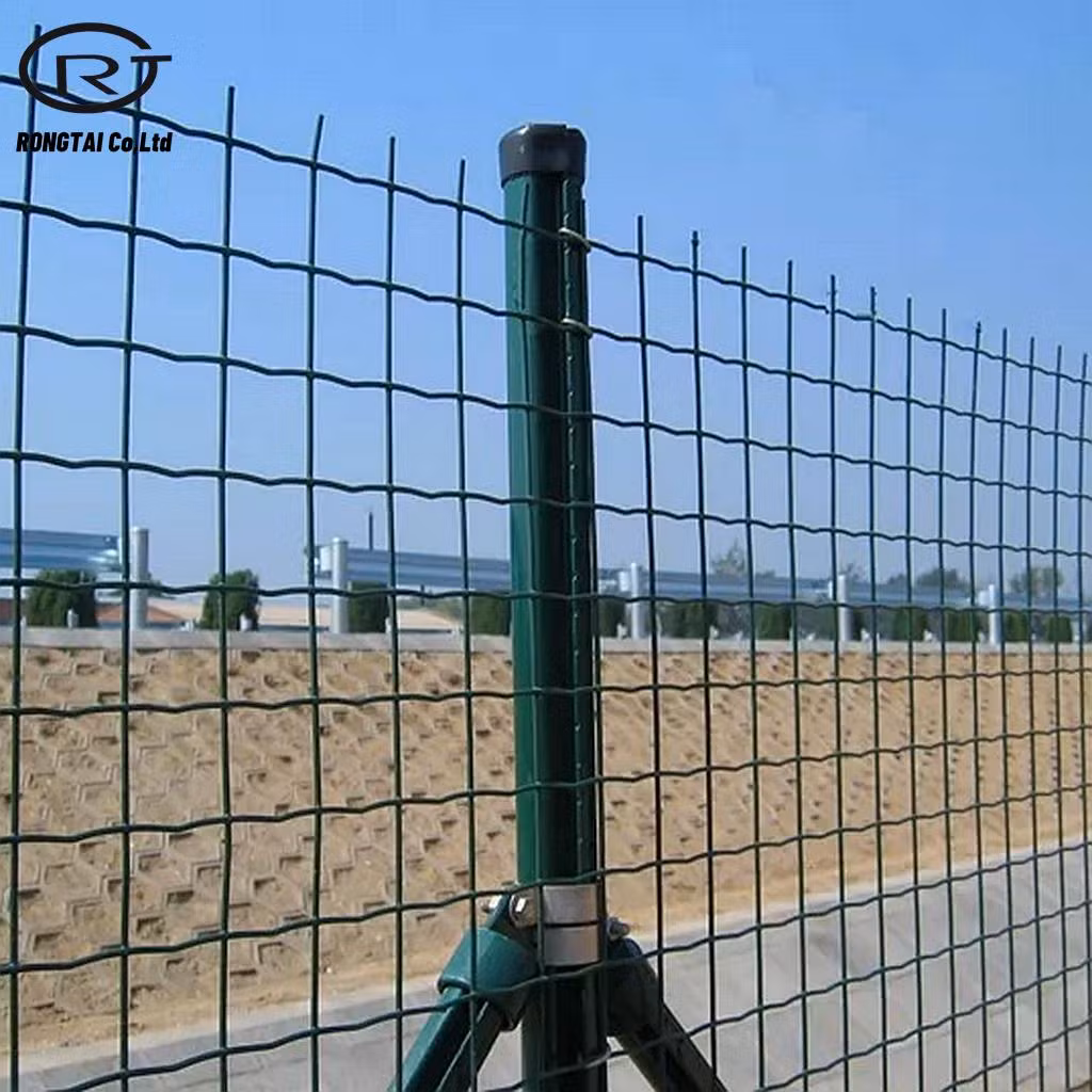Construction Holland Wire Mesh Fence PVC Coated Fencing Wire Netting