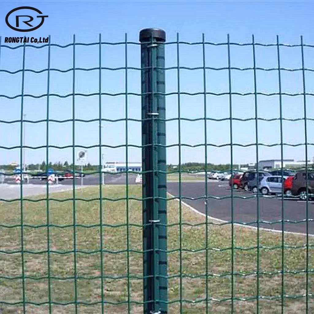 Construction Holland Wire Mesh Fence PVC Coated Fencing Wire Netting