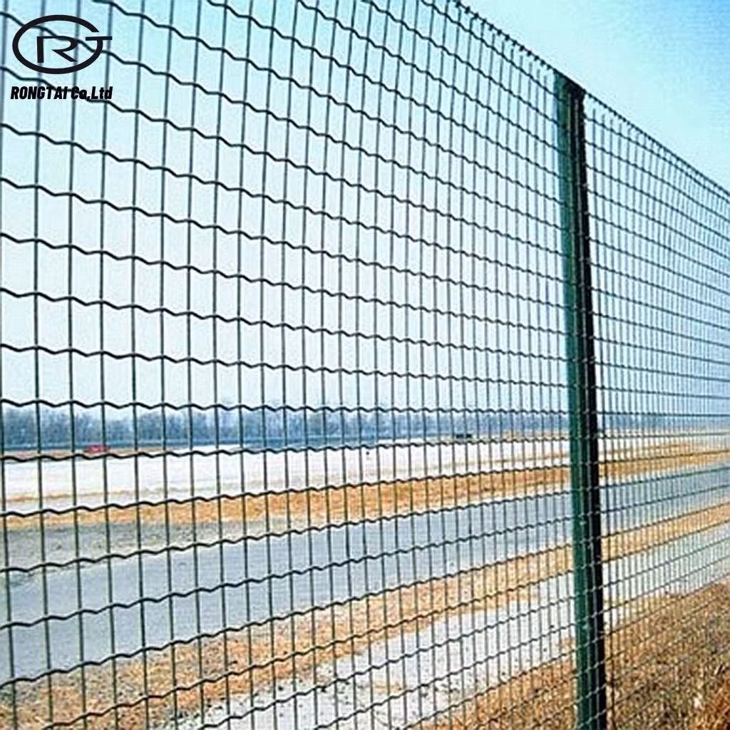 Construction Holland Wire Mesh Fence PVC Coated Fencing Wire Netting