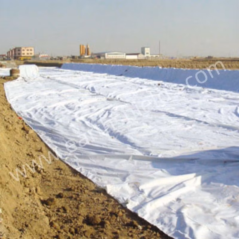 Anti UV PP Woven Fabric Geotextile Ground Cover