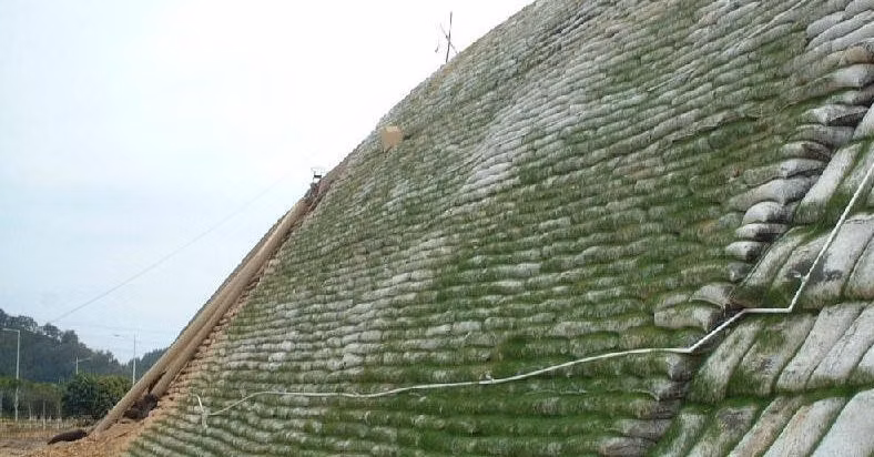 Pet PP Nonwoven Geotextile Geobag Manufacturer Slope Protection Bag in China