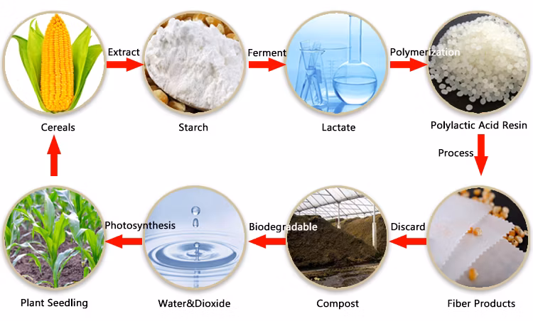 High Quality Biodegradable Corn Material PLA Spunbond Nonwoven Fabric Corn Fiber PLA Nonwoven Fabric Eco-Friendly Fabric