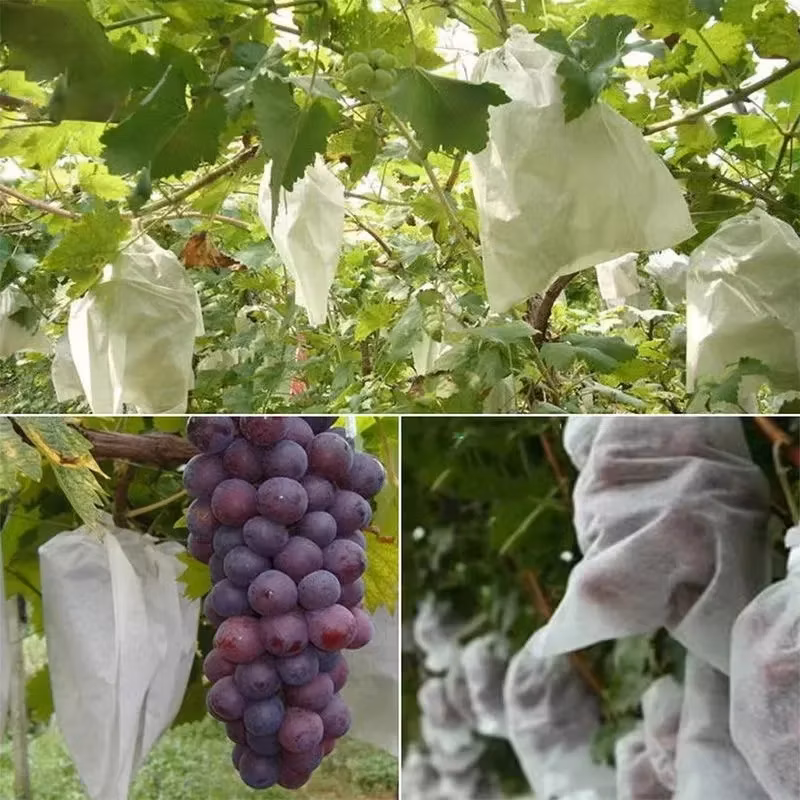 Plant Grow Bags Fruit Protection Bag Non-Woven Fabric for Grapes Vegetable Apples Pouch Mesh Bag Garden Accessories Tools