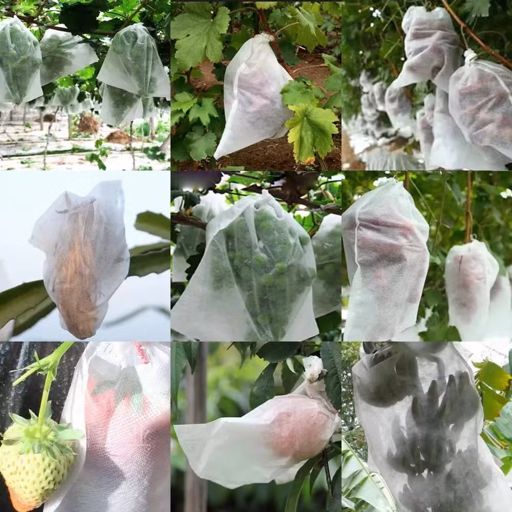 Plant Grow Bags Fruit Protection Bag Non-Woven Fabric for Grapes Vegetable Apples Pouch Mesh Bag Garden Accessories Tools