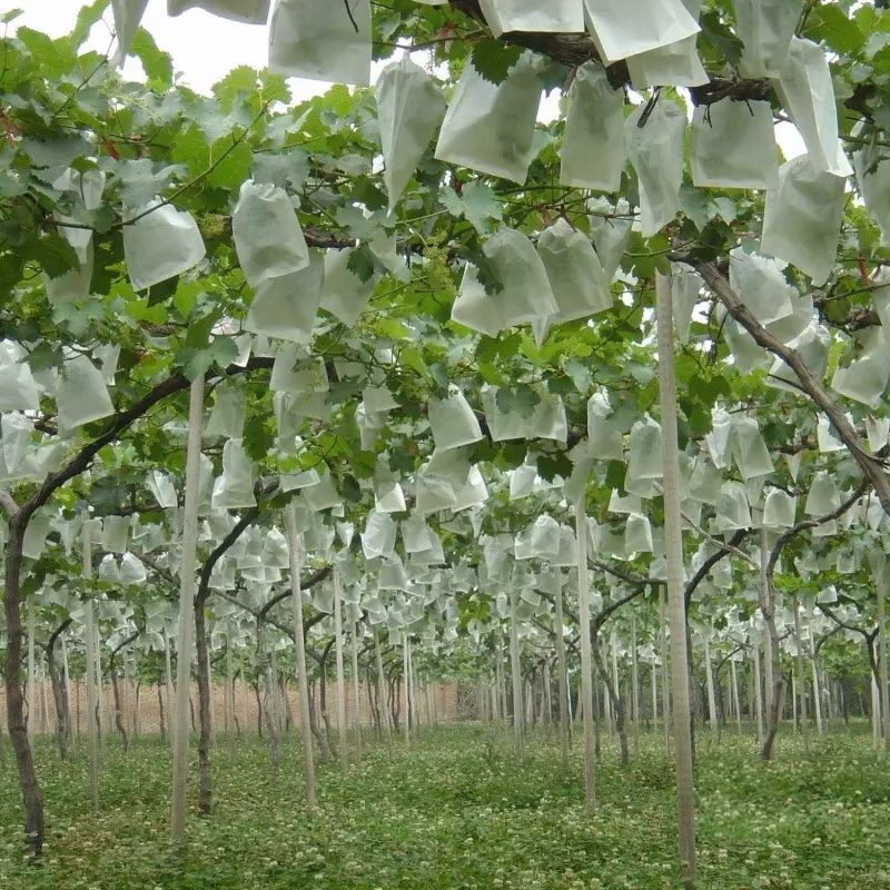 Plant Grow Bags Fruit Protection Bag Non-Woven Fabric for Grapes Vegetable Apples Pouch Mesh Bag Garden Accessories Tools