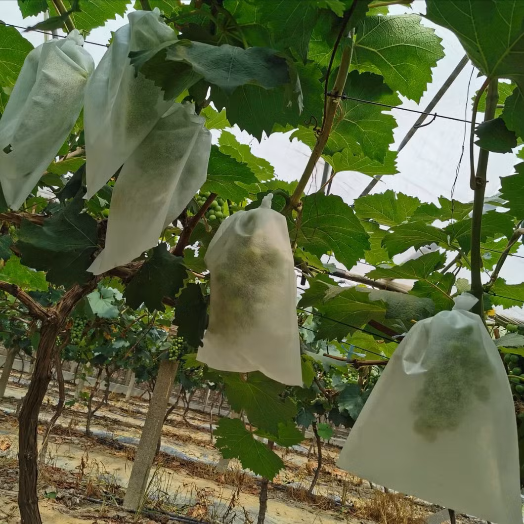 Plant Grow Bags Fruit Protection Bag Non-Woven Fabric for Grapes Vegetable Apples Pouch Mesh Bag Garden Accessories Tools