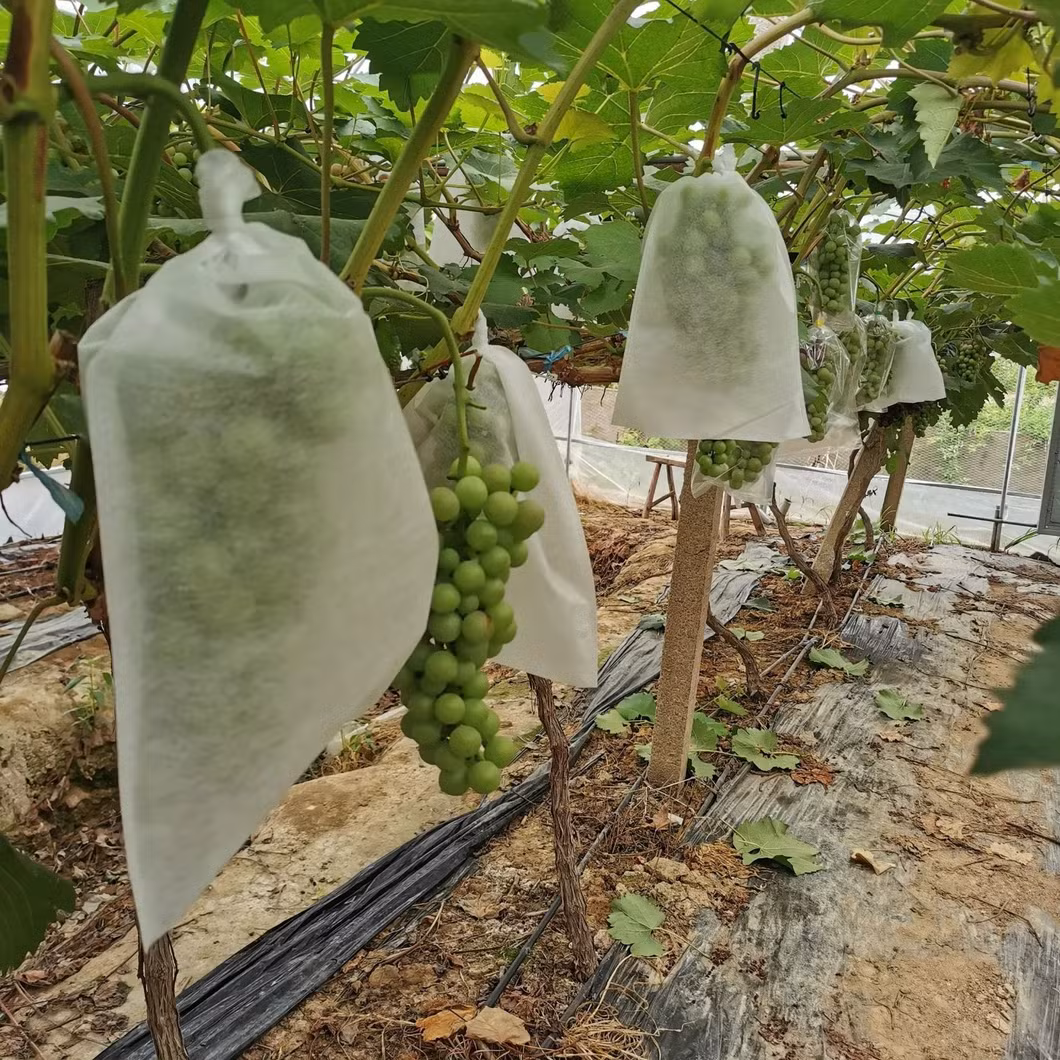 Plant Grow Bags Fruit Protection Bag Non-Woven Fabric for Grapes Vegetable Apples Pouch Mesh Bag Garden Accessories Tools