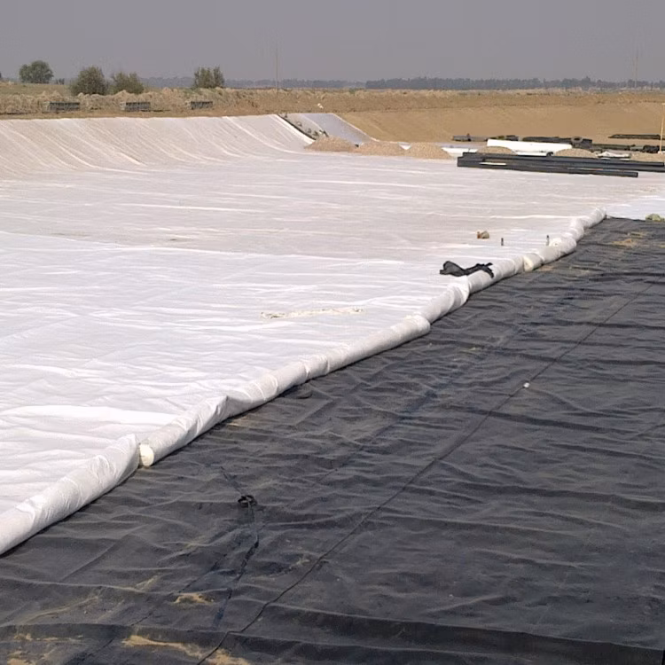 Polypropylene Hot Rolled Geotextile Fabric for Driveway in South Africa