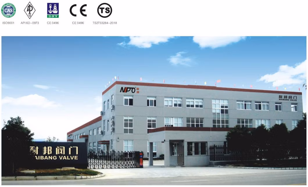 Forging Steel Check Valve Forged Body Lug Type Swing Check Valve