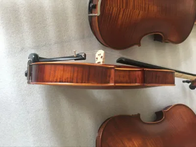 Alta qualità dipinto a mano Antique Red Brown verniciato Ebony Professional Violino con custodia