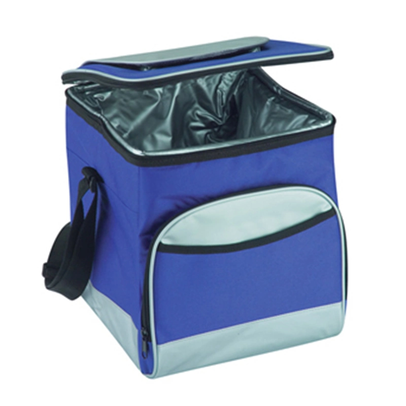 Sling Organizer Lunch Insulated Cooler Bags with Two Compartments