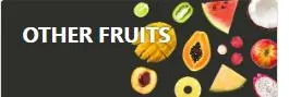 Shine Muscat E-Liquid Vaping Juice Fruits Mix Customized Flavors E Liquid with Quantity Flavours and Unique Packaging Samll Quantity Low Shipping Cost E Liquid