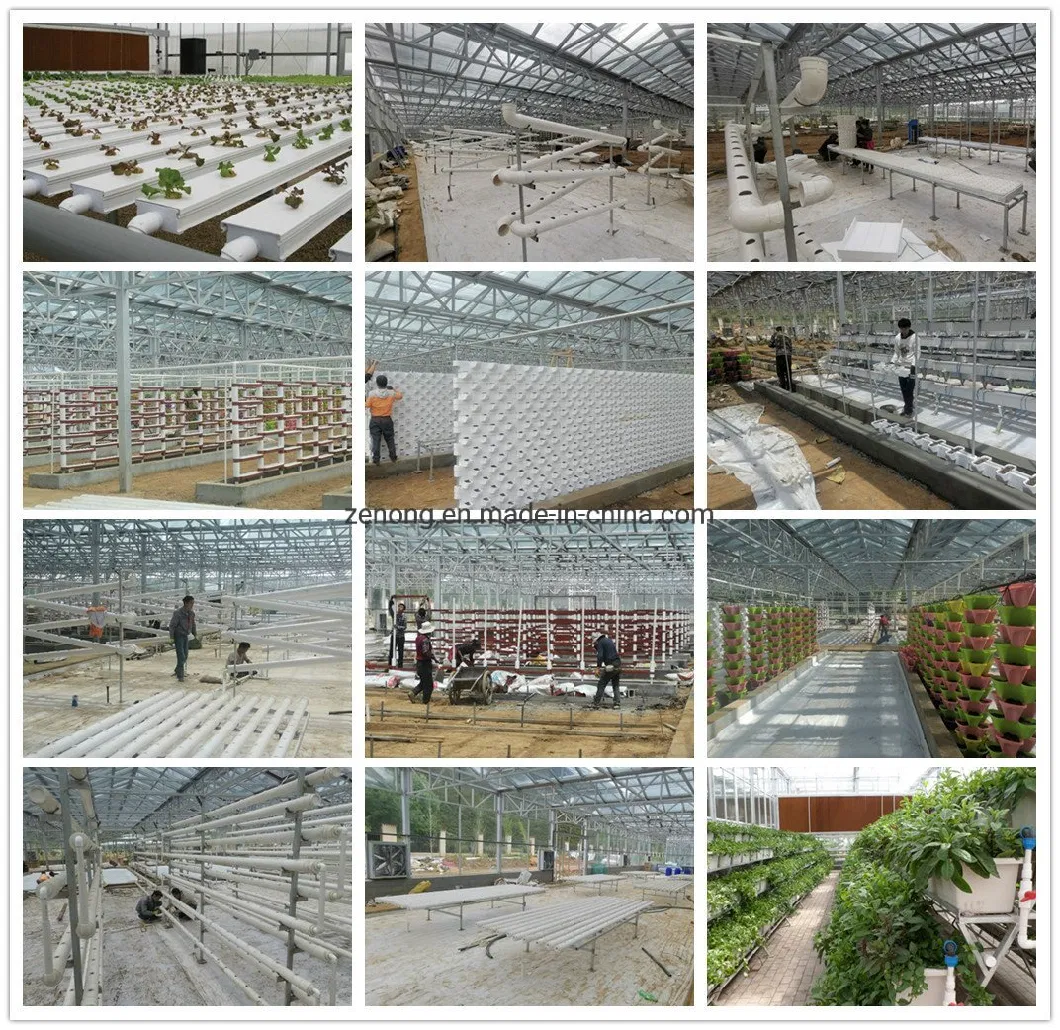 Garden Greenhouse Hydroponics PP PVC Mesh Net Planting Soilless Cultivation Plant Rooter Cup Basket Vegetables Grow Pot