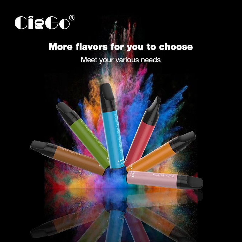 600 Puffs Disposable Vape Pen 2.0ml 2% Nicotine 18 Flavors Pen-Style Electronic Cigarette Without Storage Cotton