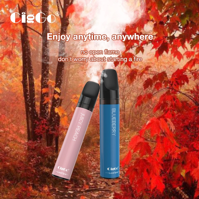 600 Puffs Disposable Vape Pen 2.0ml 2% Nicotine 18 Flavors Pen-Style Electronic Cigarette Without Storage Cotton