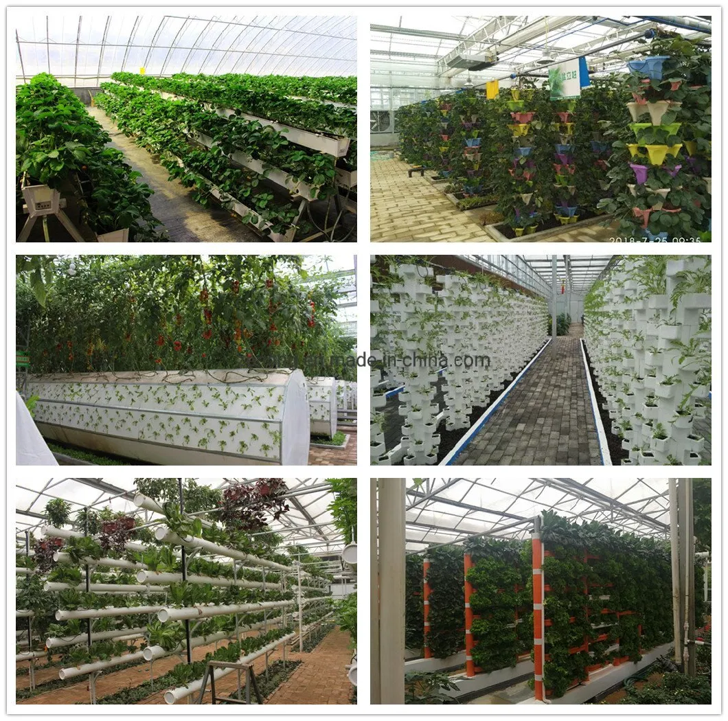 Garden Greenhouse Hydroponics PP PVC Mesh Net Planting Soilless Cultivation Plant Rooter Cup Basket Vegetables Grow Pot