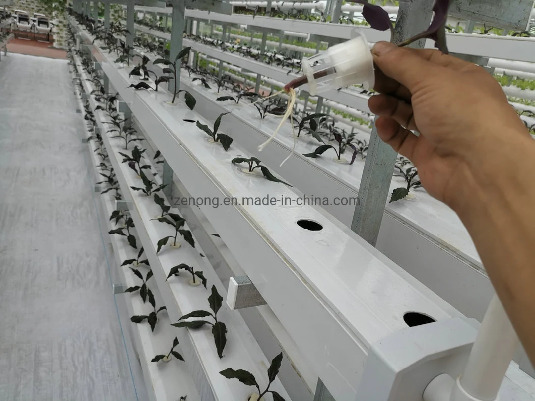 Agricultural Greenhouse Polystyrene Hydroponic Cultivation Trough Engraftment Basket