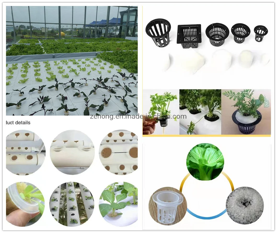 Agricultural Greenhouse Polystyrene Hydroponic Cultivation Trough Engraftment Basket