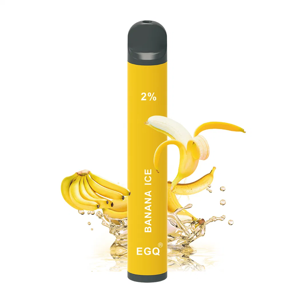 Factory-Made Disposable Vape Pen E-Cigarette with 2000 Puffs