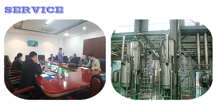 High Effect Full-Automatic Vacuum Evaporator Double Effect Fallling Film Evaporator for Animal Milk