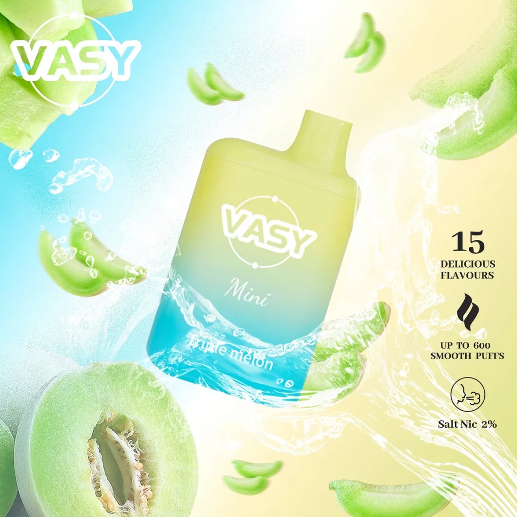 Europe and UK Hot Selling Vasy Mini 600 Puffs 2% Nicotine and Without Salt Nic Multi Flavors Disposable Vape Wholesale Price