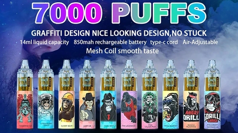 Factory Wholesale Randm Tornado 7000 Puffs Disposable Vapes